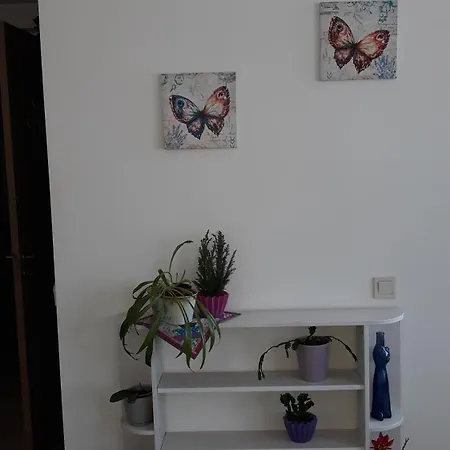 Park District Cosy Апартаменти Рига